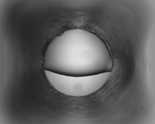 X0000090491397200707130922