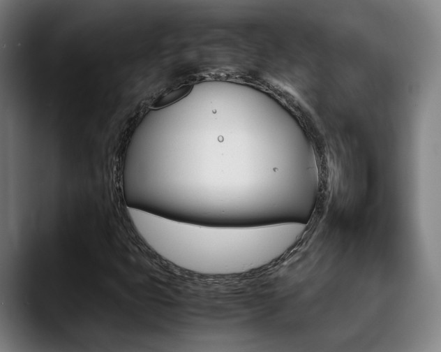 X0000090491399200707130922