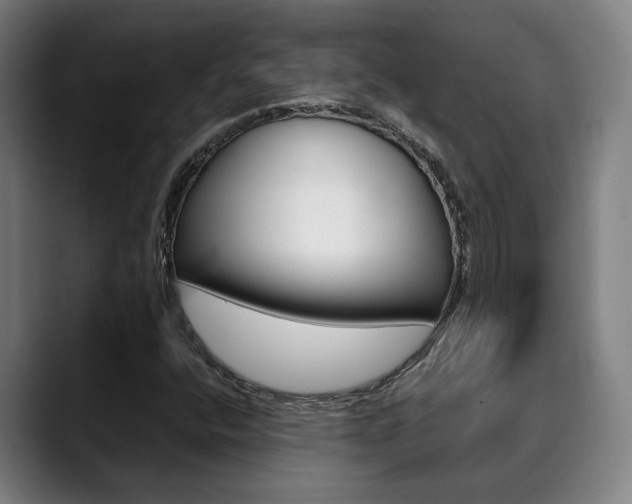 X0000090491400200707130922
