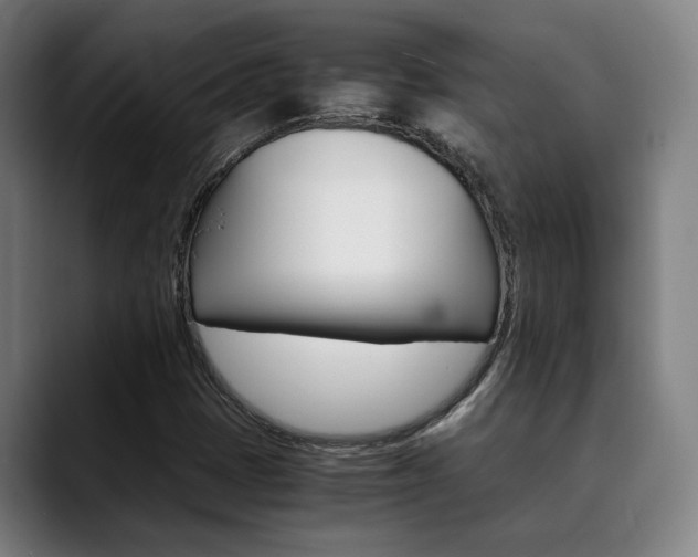 X0000090491401200707130922