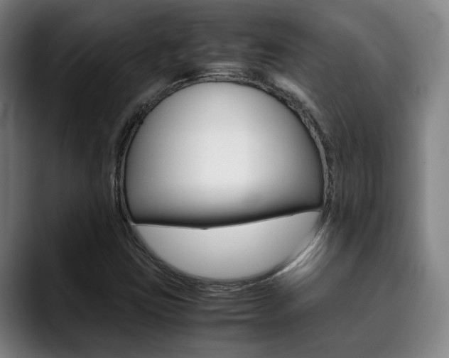 X0000090491403200707130922