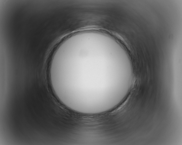 X0000090491406200707130922