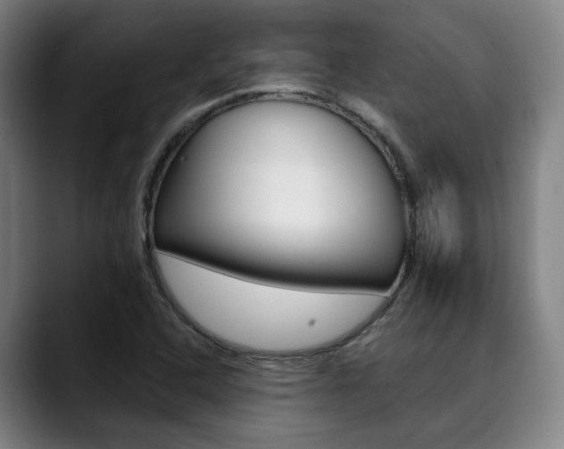 X0000090491408200707130922
