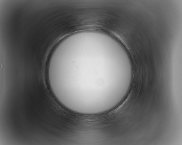 X0000090491410200707130922