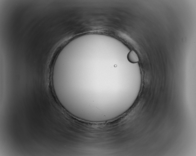 X0000090491411200707130922