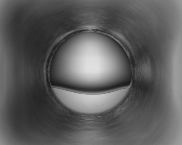 X0000090491412200707130922