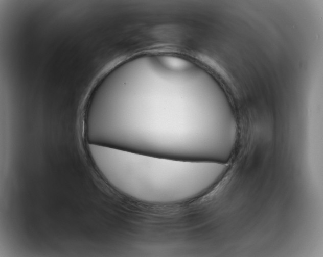 X0000090491413200707130922