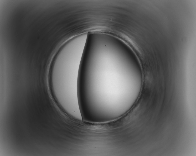 X0000090491418200707130922