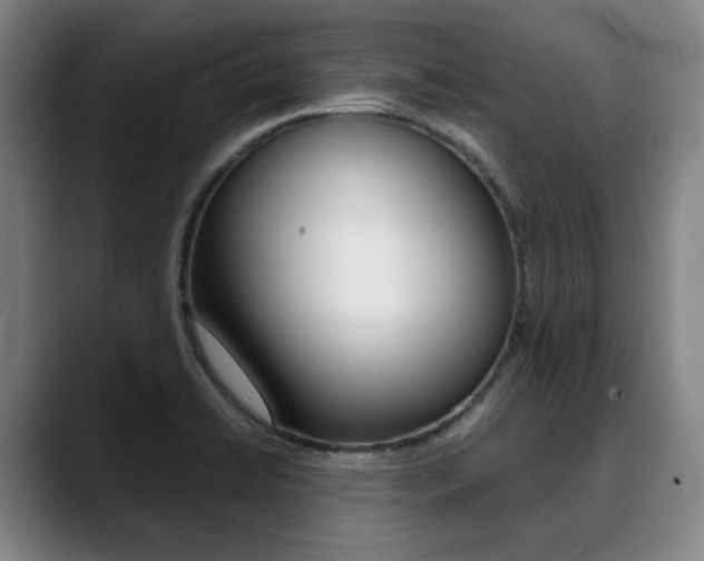 X0000090491422200707130922