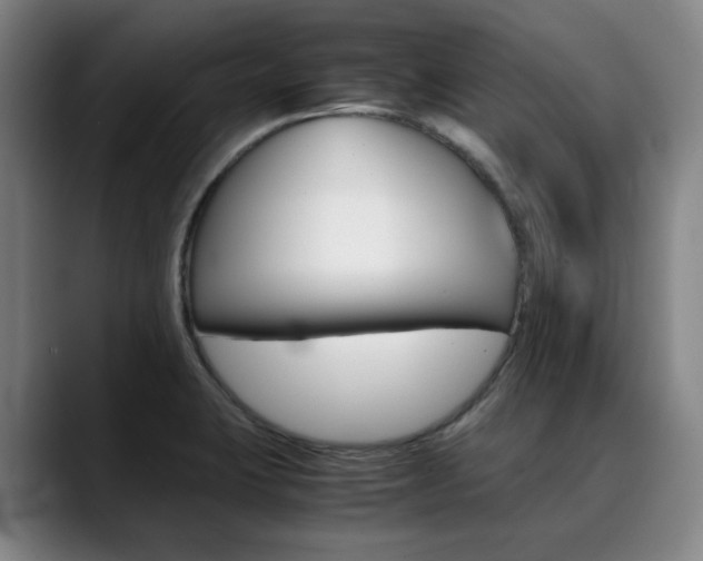 X0000090491423200707130922