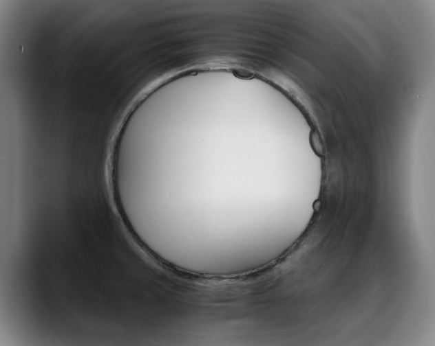 X0000090491429200707130922