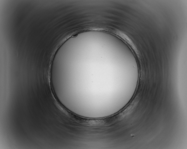 X0000090491433200707130922