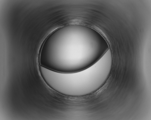 X0000090491434200707130922