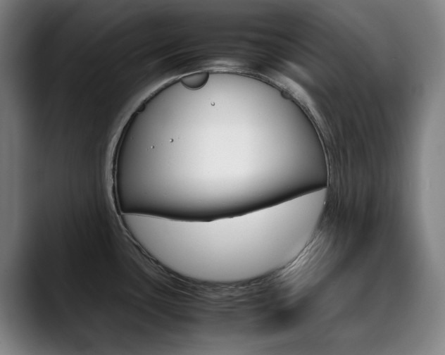 X0000090491435200707130922