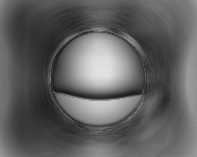 X0000090491436200707130922
