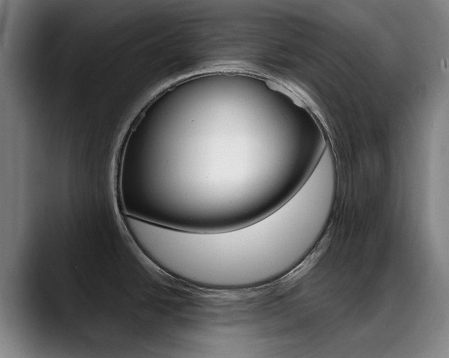 X0000090491438200707130922