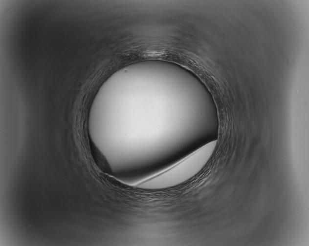 X0000090491441200707130922