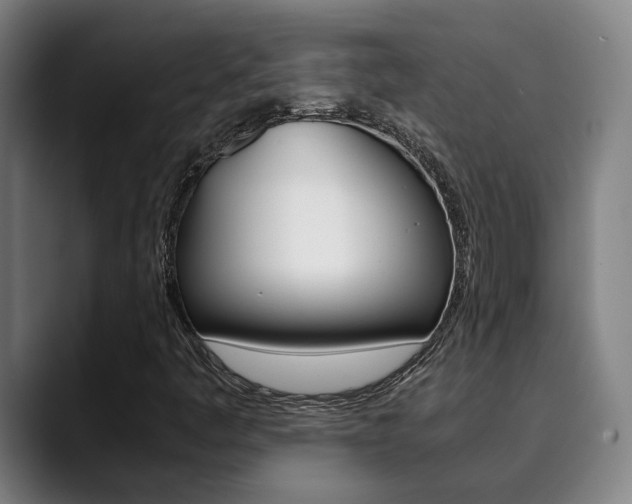 X0000090491445200707130921