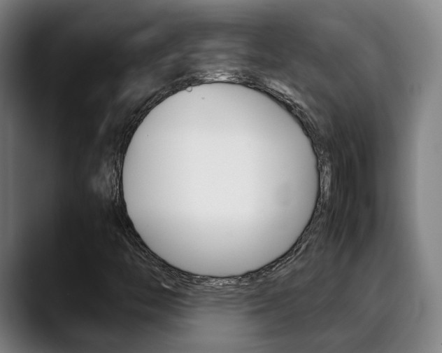 X0000090491446200707130921