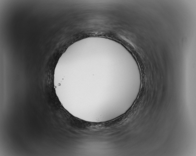 X0000090491447200707130921