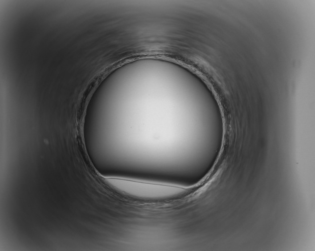 X0000090491449200707130921