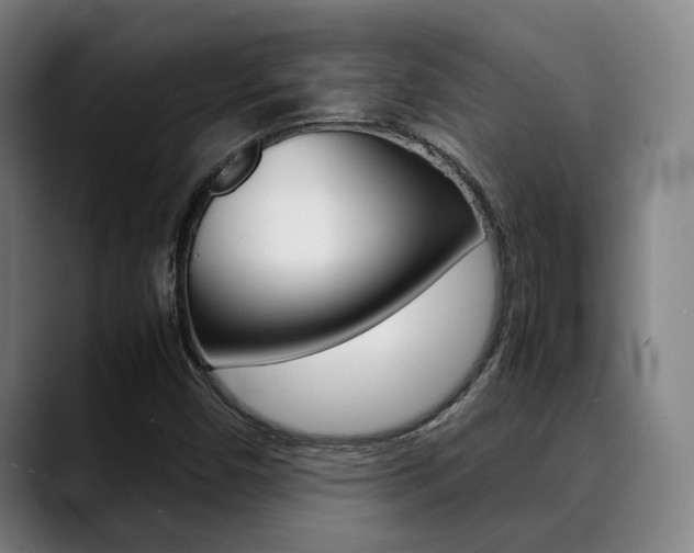 X0000090491450200707130921