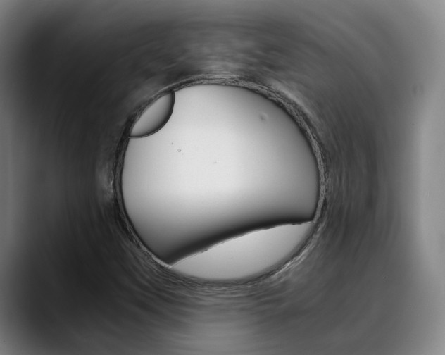 X0000090491451200707130921