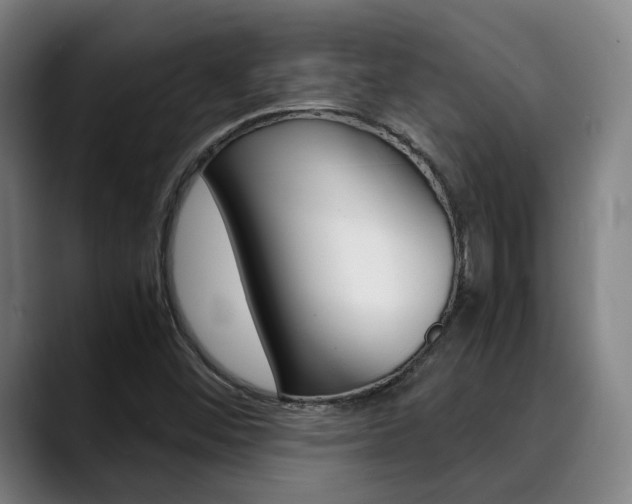 X0000090491452200707130921