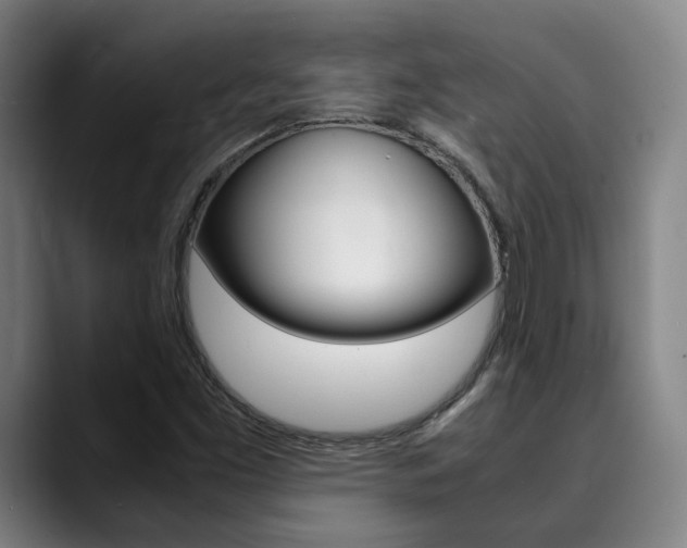X0000090491453200707130921