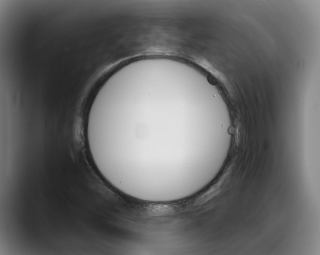 X0000090491454200707130921