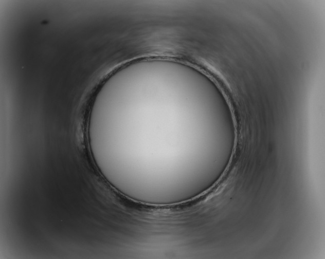 X0000090491455200707130921