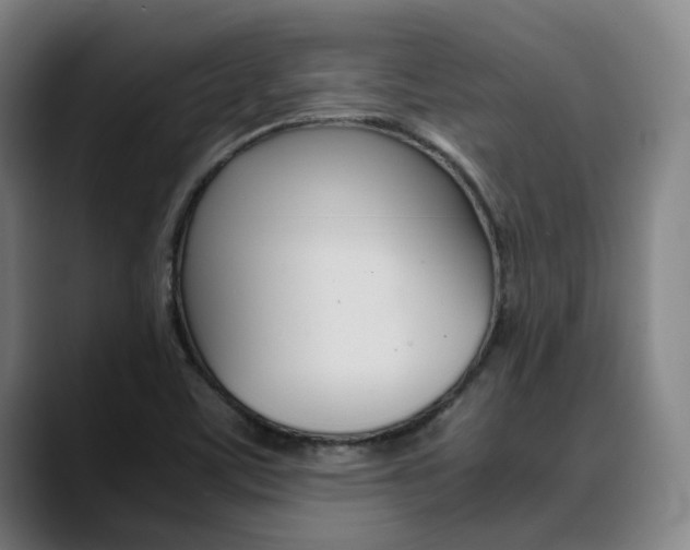 X0000090491459200707130921