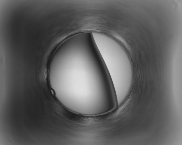 X0000090491461200707130921