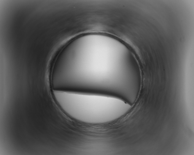 X0000090491464200707130921