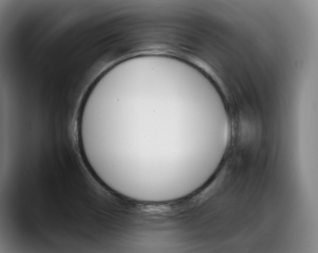 X0000090491466200707130921