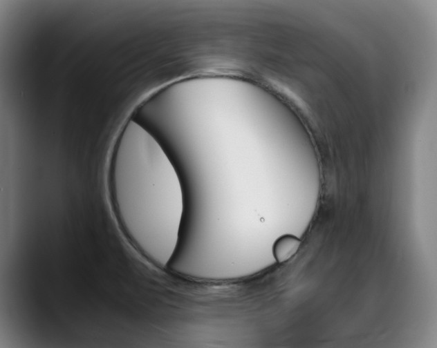 X0000090491471200707130921