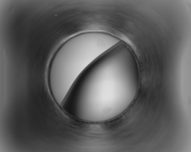 X0000090491472200707130921