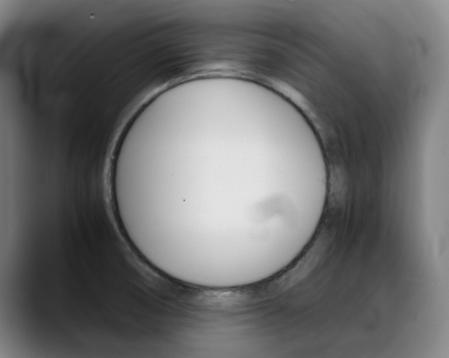 X0000090491474200707130921