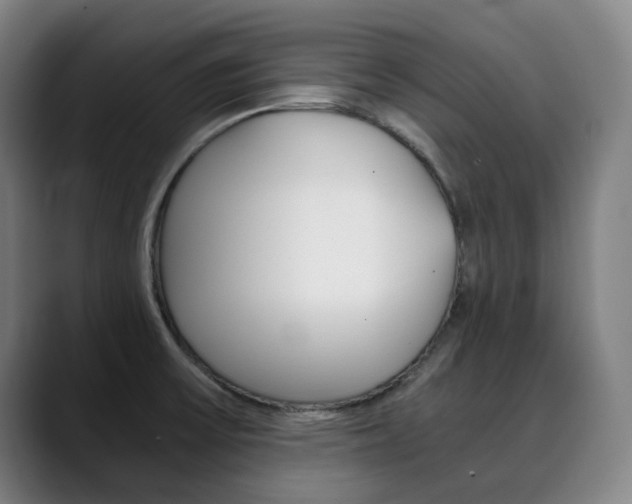 X0000090491475200707130921