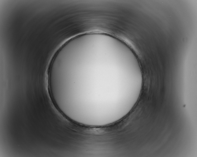 X0000090491476200707130921