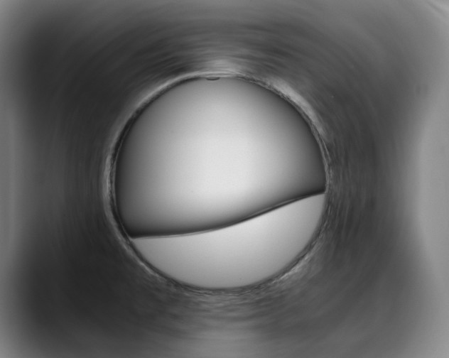 X0000090491477200707130921