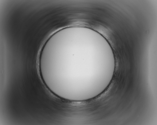 X0000090491478200707130921