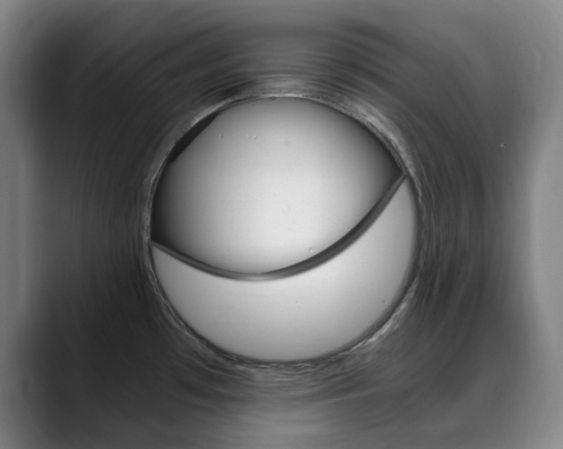 X0000090491481200707130921