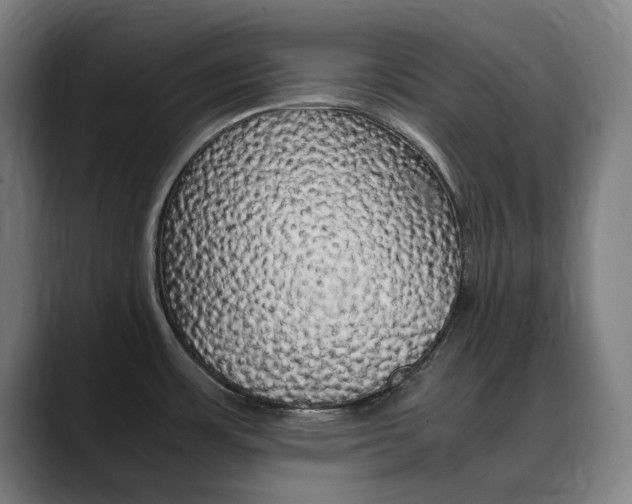 X0000090491483200707130921