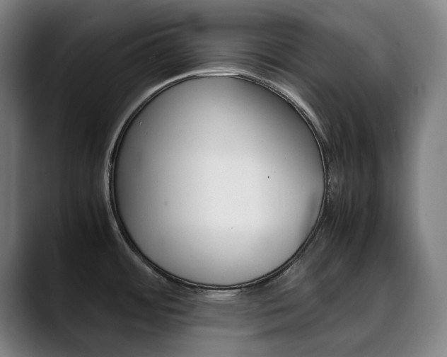 X0000090491484200707130921