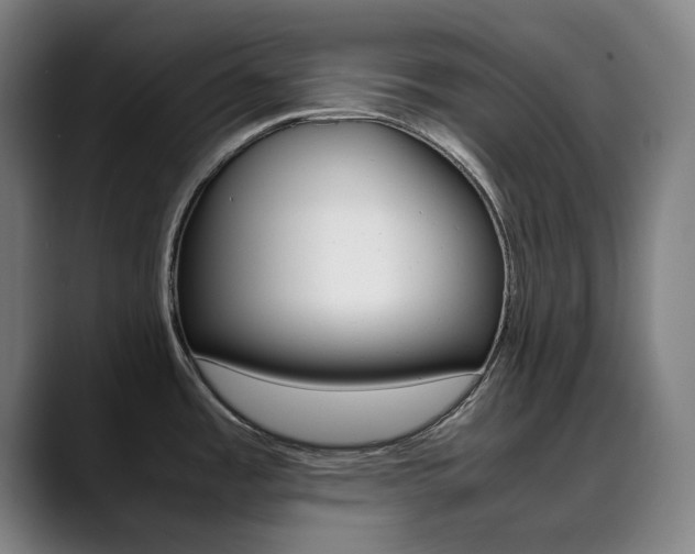 X0000090491485200707130921