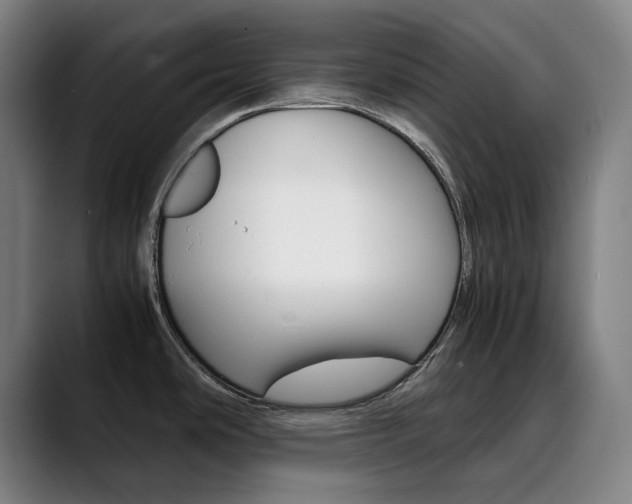 X0000090491486200707130921