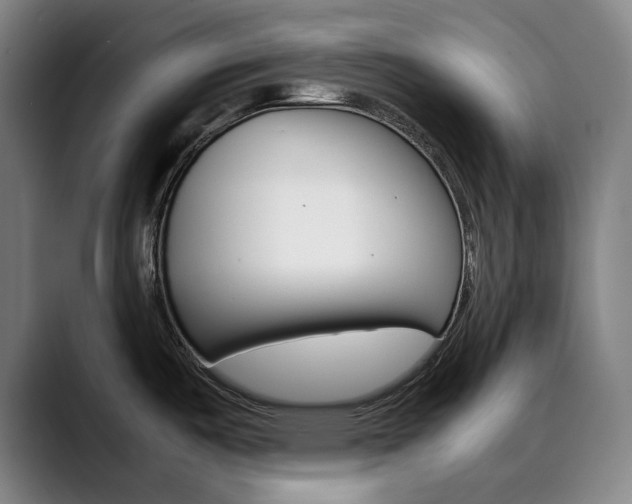 X0000090491487200707130921