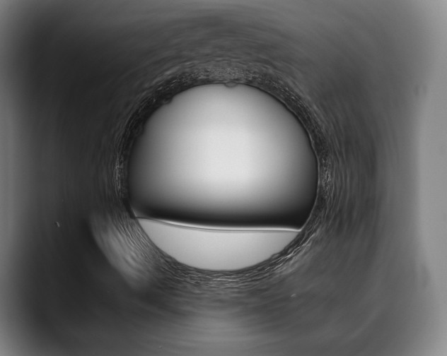 X0000090491490200707130920