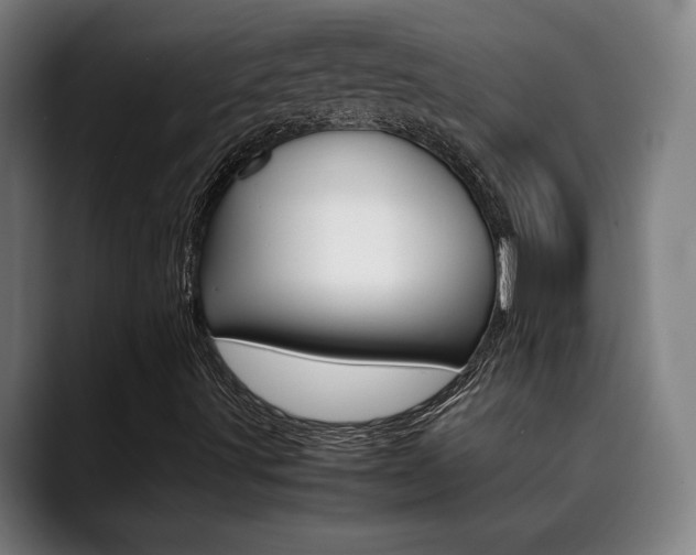 X0000090491491200707130920